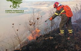 Sardegna assediata dagli incendi in questo sabato: sono ben 9 i roghi spenti con i mezzi aerei