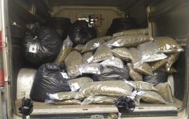 Sardegna, operazione anti droga: oltre 130 kg di sostanze sequestrate e due arresti