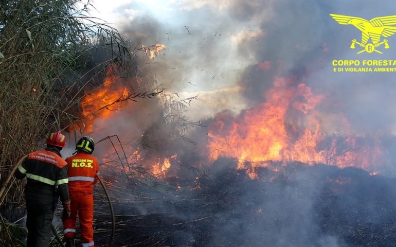 Sardegna, campagne devastate dalle fiamme: oggi 20 incendi e diversi interventi dei mezzi aerei