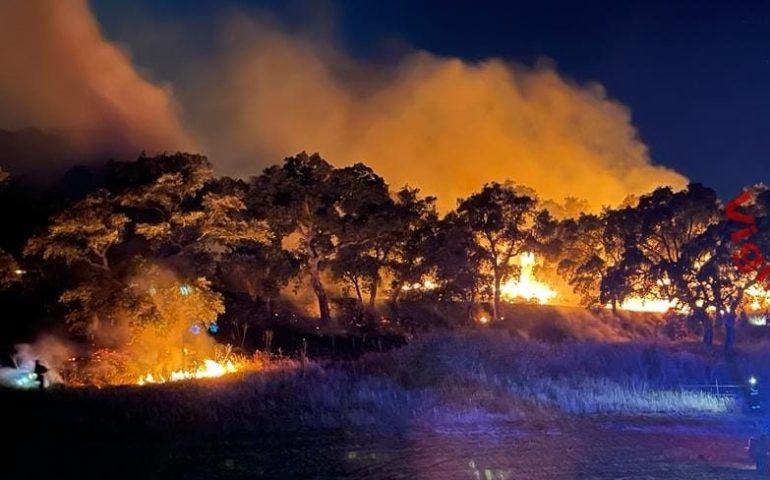 Sardegna, incendio nella notte: sugherete e balle di fieno in fiamme