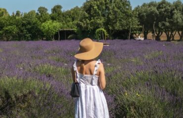 lavanda di elvio
