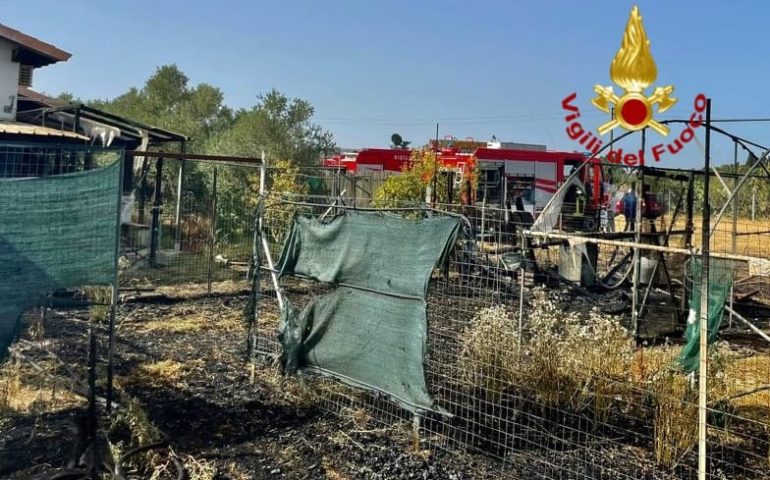 Grosso incendio a San Sperate, le fiamme lambiscono delle abitazioni