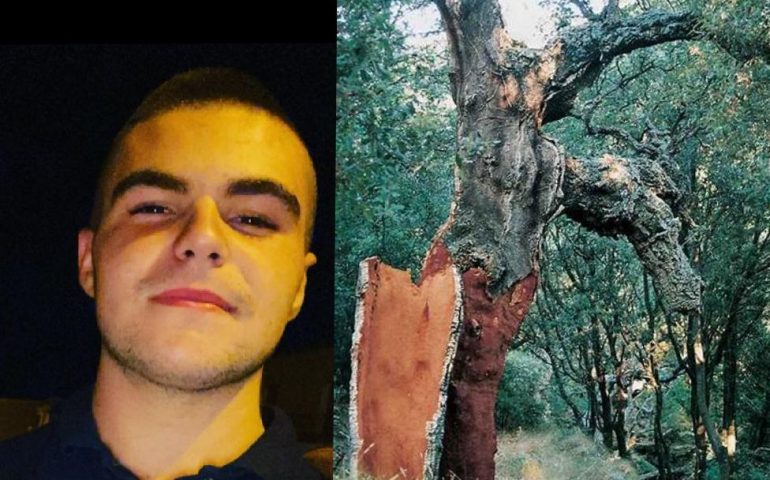 Tragedia in Sardegna, 18enne muore dissanguato mentre estraeva la corteccia del sughero