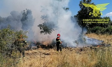 Sud Sardegna tra le fiamme: un Canadair e sei elicotteri in volo