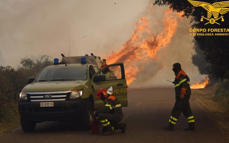 Sardegna, campagne devastate dalle fiamme: oggi 25 incendi e diversi interventi dei mezzi aerei