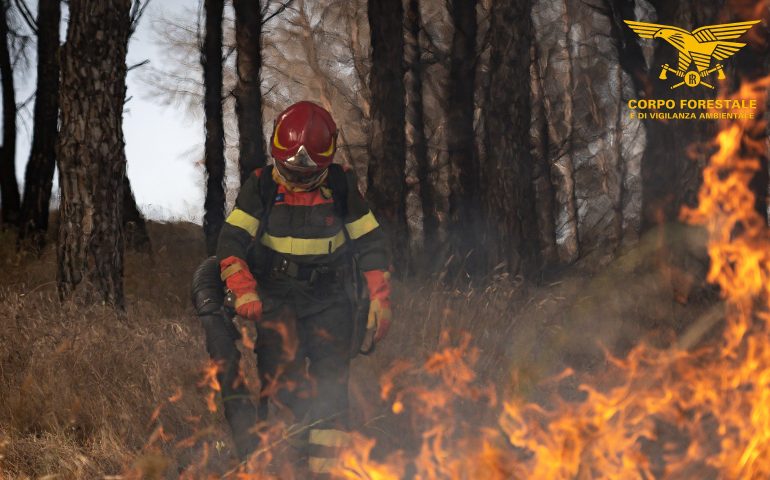 Arrestato piromane: ha innescato un incendio a Villacidro nel terreno di un vicino