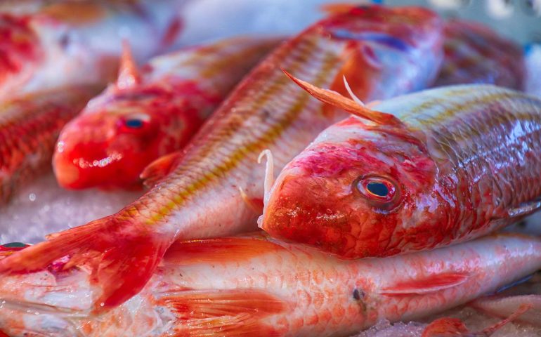“Signore, le occorre del pesce?”, poi si fa dare 50 euro e scappa senza consegnare la merce: 38enne denunciato
