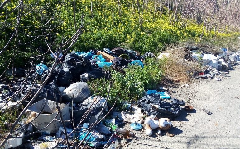 Cagliari, le foto choc di Viale Monastir: una discarica a cielo aperto