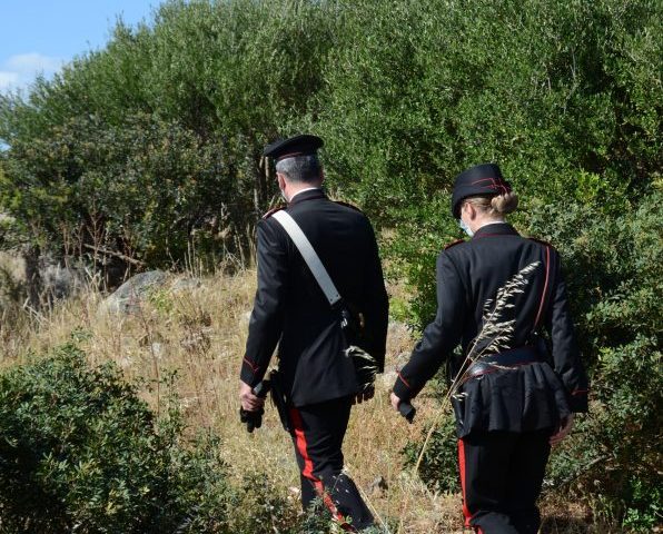 Santadi, 55enne beccato dai carabinieri mentre innaffia le piante di cannabis di due metri