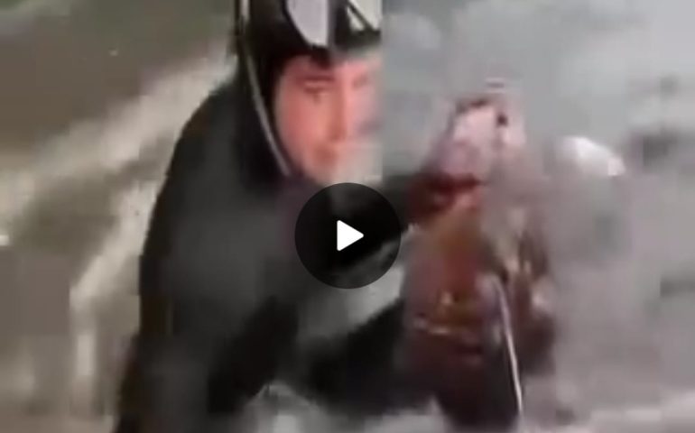 (VIDEO) Pescano cernia da 9 kg in acque sarde protette e la vendono in ristorante: due giovani turisti nella bufera