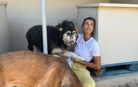 Elisabetta Canalis in vacanza in Sardegna trascorre una giornata in canile: “Emozioni indescrivibili”