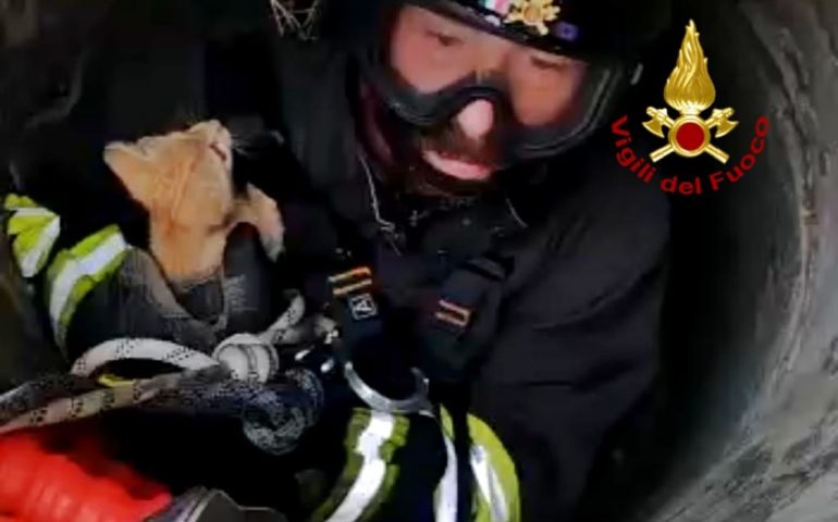 Terralba, gattino intrappolato in un pozzo salvato dai Vigili del fuoco