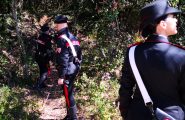 Sardegna, assalto armato a un furgone carico di sigarette: è caccia ai banditi