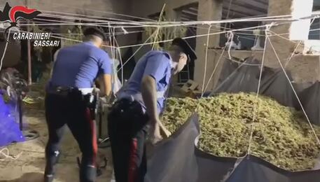 Maxi blitz antidroga in Sardegna: una tonnellata di droga sequestrata e sei arresti