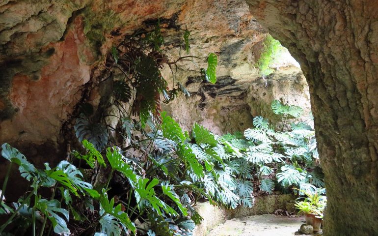 Lo sapevate? L’Orto Botanico di Cagliari ospita più di duemila specie vegetali