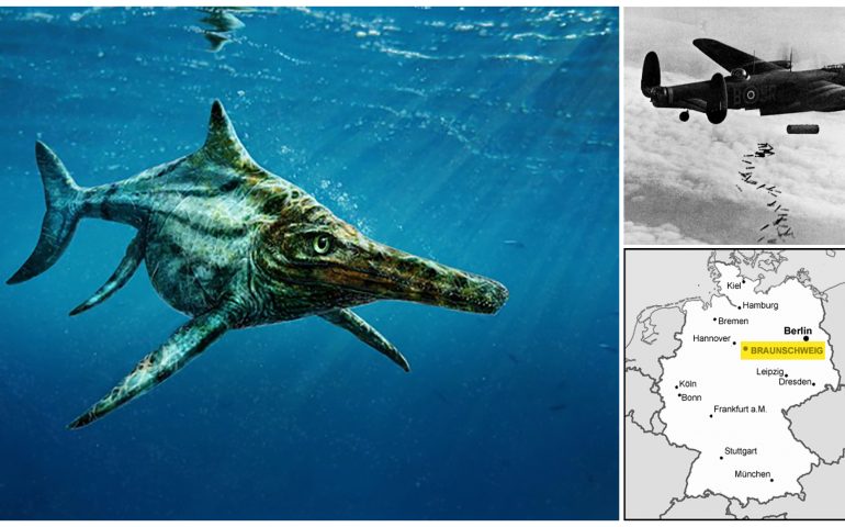 Lo sapevate? Nel Giurassico in Ogliastra nuotavano gli ittiosauri, rettili marini simili ai delfini