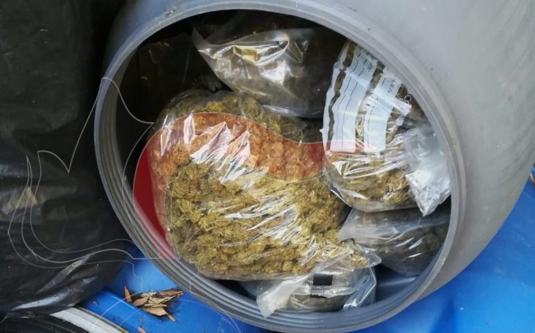 Sardegna, sequestrate 1,2 tonnellate di marijuana: avrebbero potuto fruttare 1 milione di euro