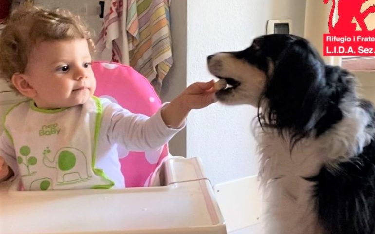 La storia di Ginetta (mora e pelosa, abbandonata appena nata) e Matilde (bionda e riccia, dispensatrice di biscotti): quando l’amore fa miracoli