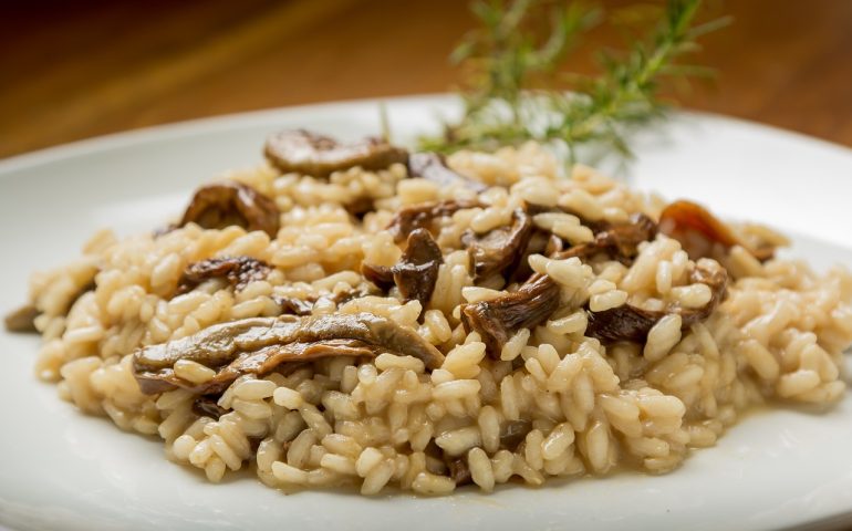 Preparano un risotto con i funghi raccolti nel bosco: due coppie ricoverate con dissenteria e vomiti