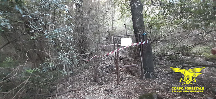 Lotta al bracconaggio in Sardegna: tre persone denunciate dal Corpo Forestale