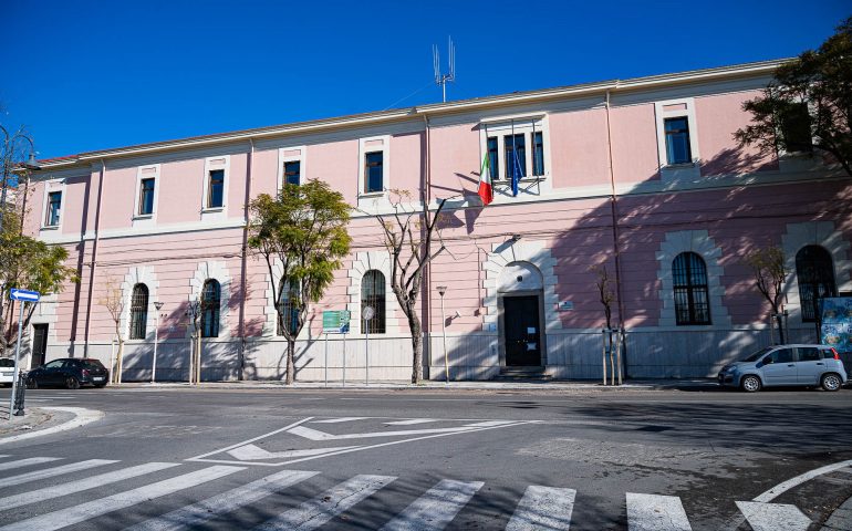 Cagliari, sei nuove Jacarande nel viale Buoncammino