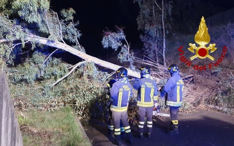 Maltempo in Sardegna, forti raffiche di maestrale: alberi abbattuti e diversi disagi