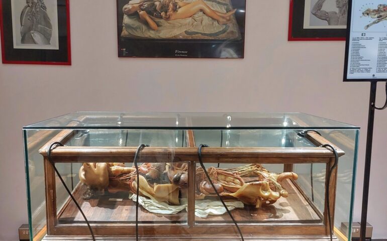Cagliari: riapre il Museo delle cere anatomiche “Clemente Susini”, tanto caro al professor Riva
