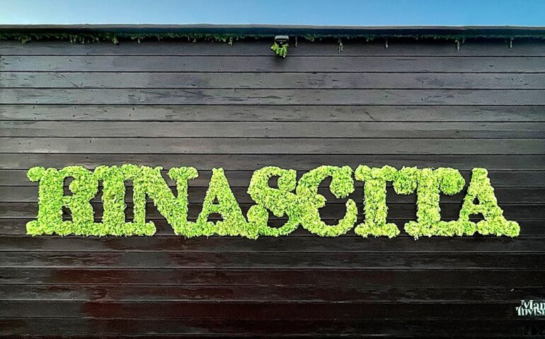 “Rinascita”, la nuova opera di Manu Invisible per Il Giardino di Lu, il campo di tulipani solidali