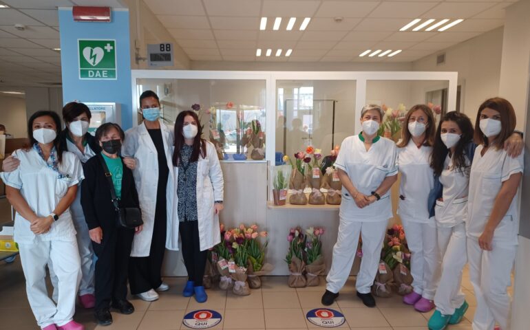 I tulipani del Giardino di Lu in dono al reparto di Oncologia del Policlinico di Monserrato