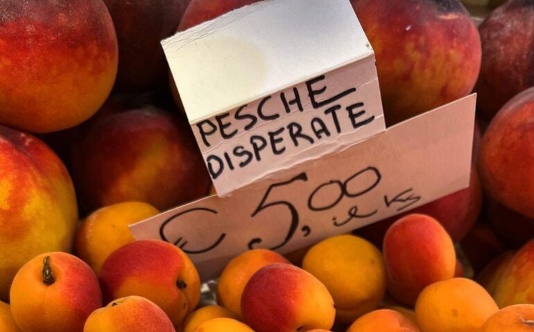 Pesche “disperate”, “champignò de Parì”: prezziari alternativi al mercato di San Benedetto