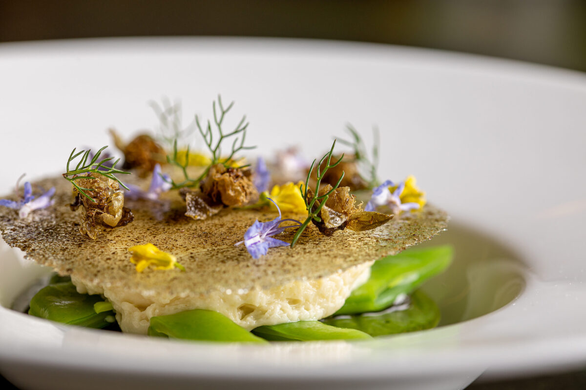 Royale alle erbe spontanee, spuma di patate, cipollotto, tosazu ai fiori di sambuco e cialda ai capperi - Ristorante Terra a Palazzo Tirso