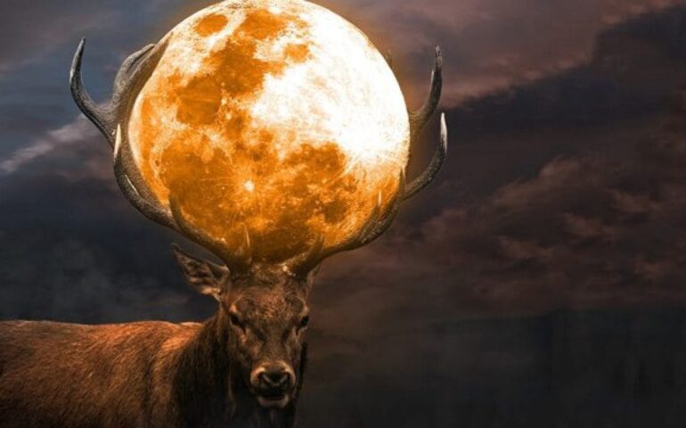 Aspettando la super Luna del cervo: ecco quando sarà possibile ammirare lo spettacolo