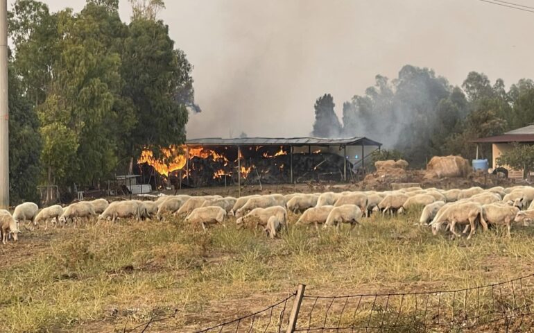 Allevatore perde tutto in un incendio, il paese si mobilita e raccoglie più di 5mila euro in poche ore
