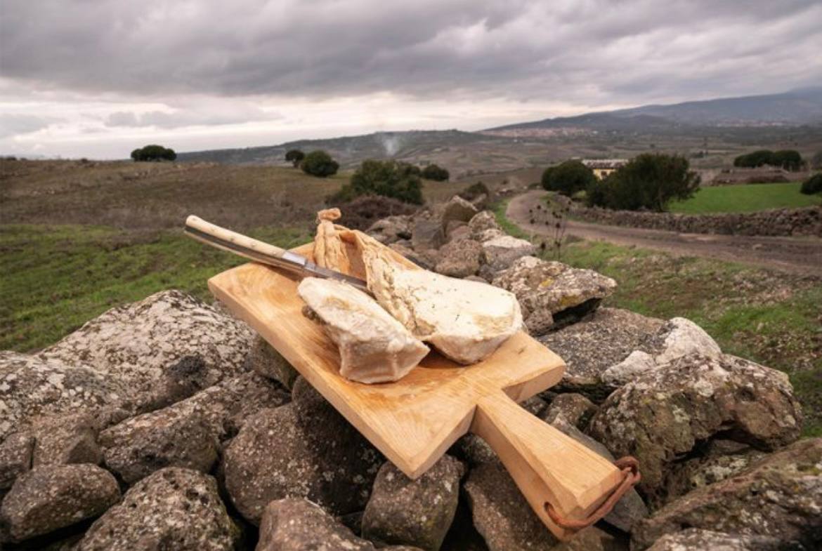 Su callu 'e crabittu dell'azienda agricola Cuscusa