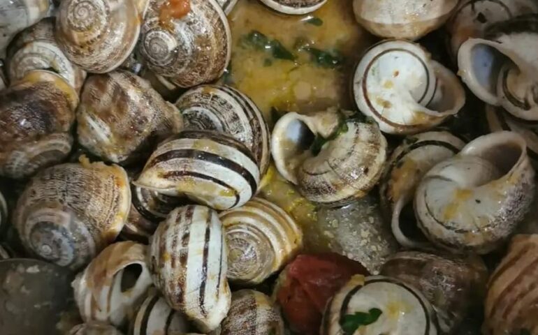Sassari a tavola: i piatti che raccontano la tradizione locale