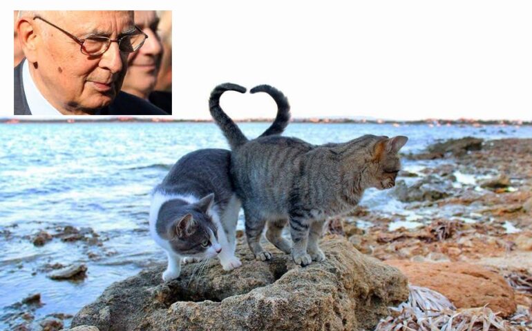 Quando Napolitano “salvò” i gatti di Su Pallosu con un decreto che accolse l’istanza dei residenti