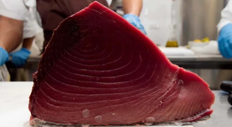 Maxi sequestro di tonno e pollo, scongelati e ricongelati, in un ristorante del centro storico