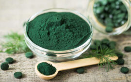 alga spirulina