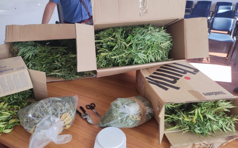 Oltre 23 kg di marijuana a casa della nonna 90enne, ignara di tutto: 24enne arrestato