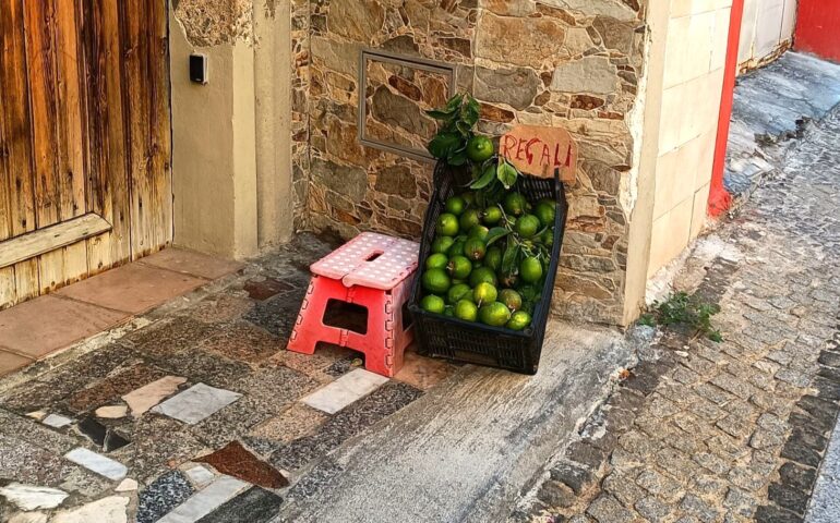 Il bellissimo gesto di generosità: limoni di proprietà in regalo lungo il marciapiede di un paese sardo