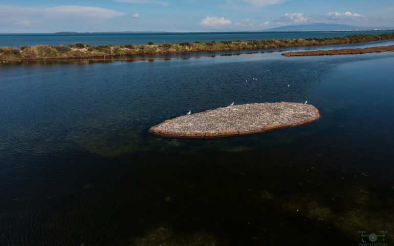 Lo sapevate? In Sardegna c’è un isolotto artificiale ecologico fatto con i gusci delle cozze