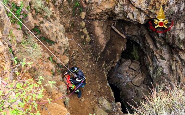 Precipita in un profondo dirupo: cane salvato dai Vigili del Fuoco nelle montagne di Nuxis