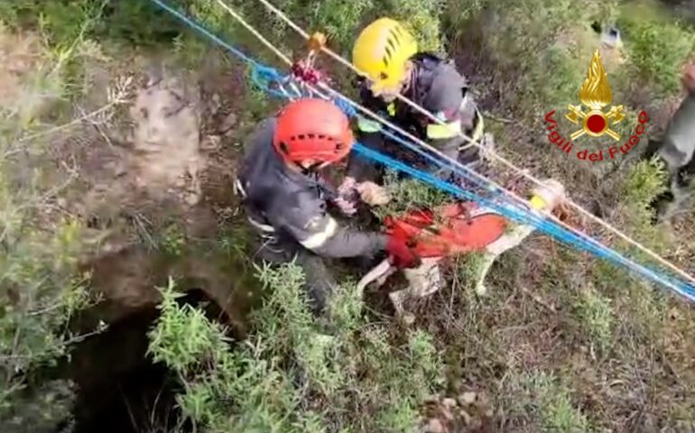 Cane precipita in un vecchio fornello di miniera: i vigili del fuoco lo salvano a Natale