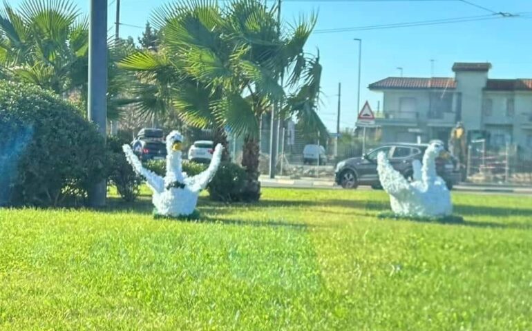 Decorazioni natalizie…originali: dopo il Panda di Quartu ecco i cigni di Selargius