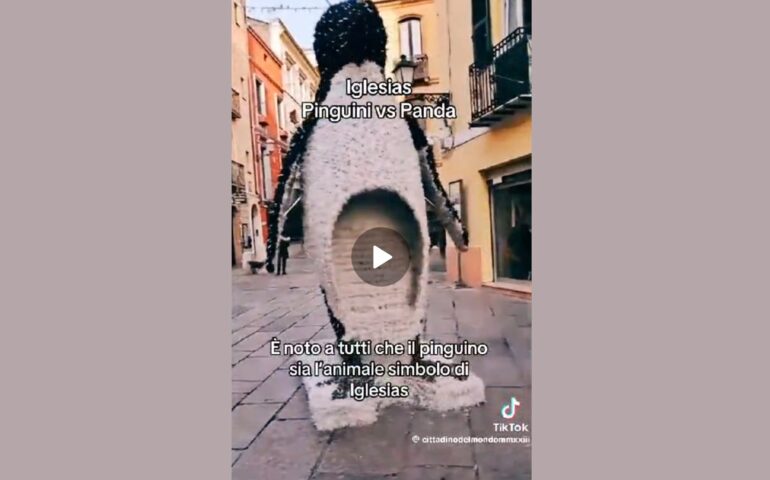 (VIDEO) Dopo il Panda di Quartu e i cigni di Selargius anche il pinguino di Iglesias fa discutere il web