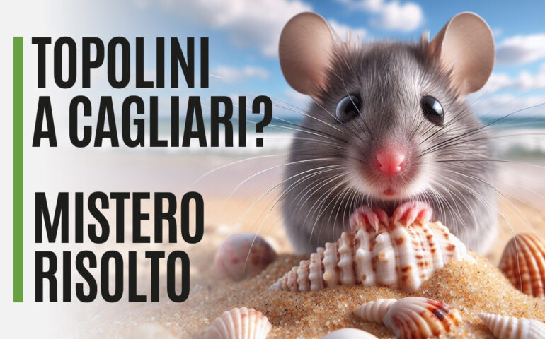 Invasione di topolini nella città di Cagliari: il mistero è finalmente risolto!