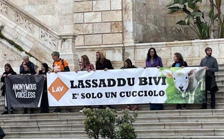 Cagliari, “Lascialo vivere, è solo un cucciolo”: presidio animalista contro l’agnellino sulle tavole di Pasqua
