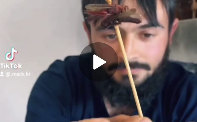 (VIDEO) Tiktoker sardo mangia grilli e cavallette arrosto: il video diventa virale