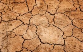 La siccità non fa sconti alle campagne di Muravera. Giunta comunale proclama stato calamità naturale