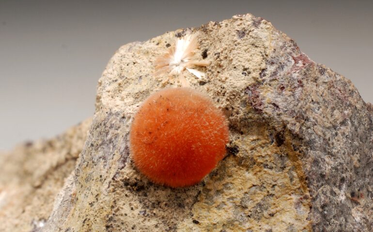 Una sfera di ferrierite, quasi un corbezzolo pietrificato: la meraviglia dei minerali sardi